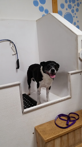 Pet Supply Store «CountryMax - Henrietta», reviews and photos, 4575 W Henrietta Rd, Rochester, NY 14623, USA