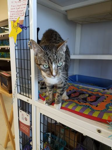 Pet Supply Store «Pet Supplies Plus», reviews and photos, 1258 Northlake Blvd, Lake Park, FL 33403, USA