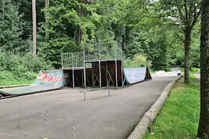 Skatepark Waldkirch image