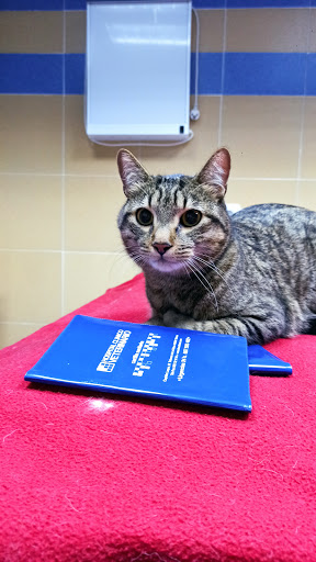 Clínica Venterinaria Hosclivet en Talavera de la Reina