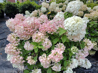 Al's Landscaping & Nursery - Photo 8 - Car repair in Newington, CT, Hartford