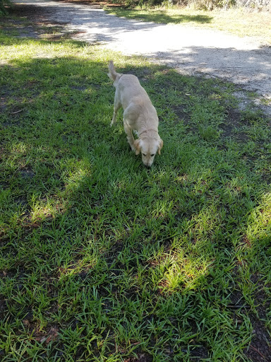 Park «Northeast Park and Paw Place», reviews and photos, 4630 E Bay Dr, Clearwater, FL 33764, USA