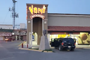 Vani Cafe Europe image