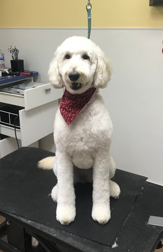 Pet Supply Store «Animal House Grooming & Quality», reviews and photos, 229 W Absecon Blvd, Absecon, NJ 08201, USA