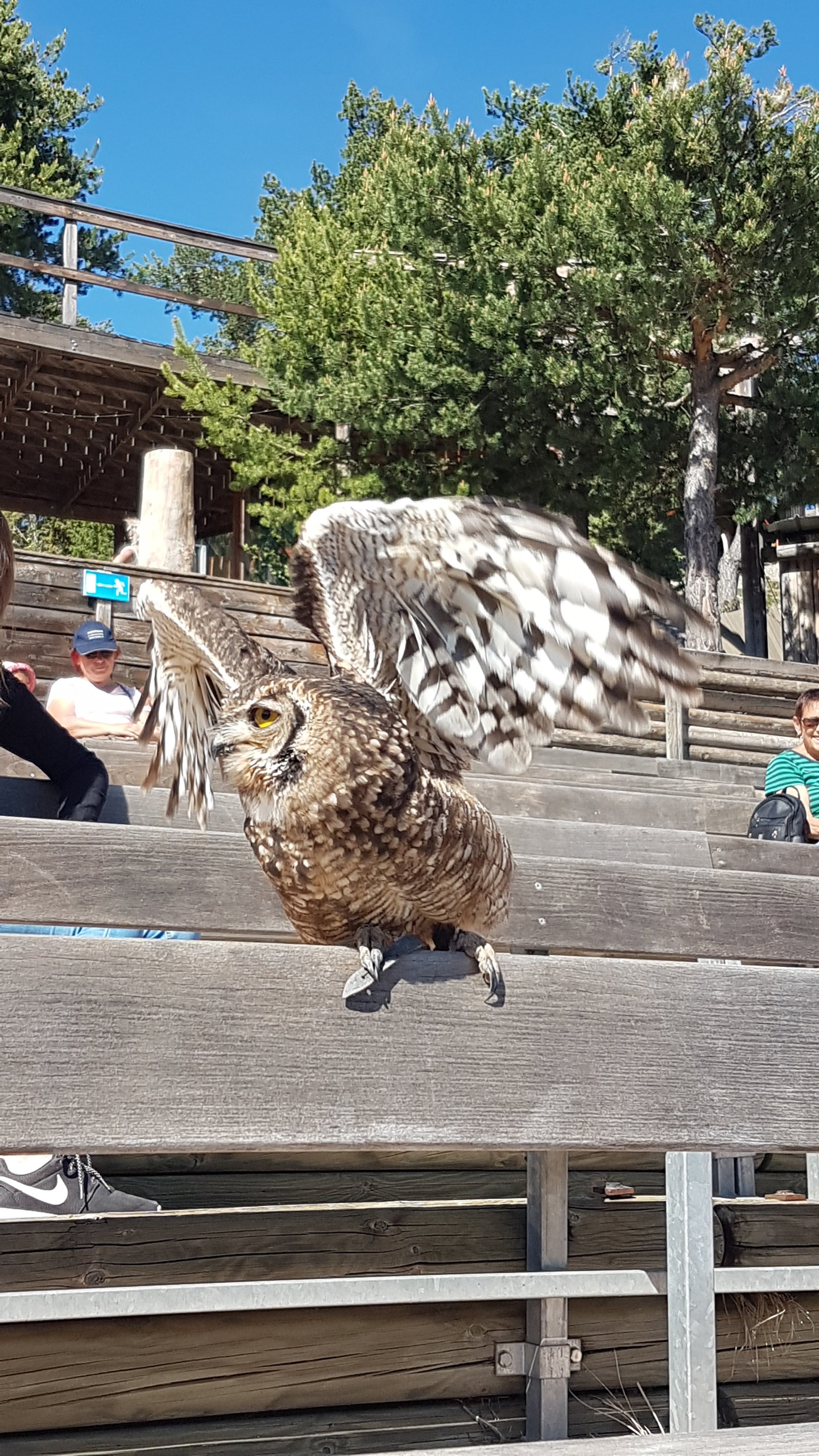 Photo n° 7 de l'avis de Maxence.o fait le 10/05/2018 à 07:26