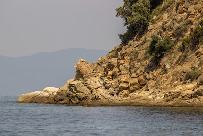 Photos of Rodia Beach Bar