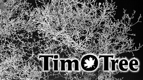 Tim O Tree