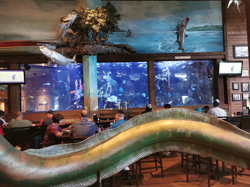 Outdoor Sports Store «Bass Pro Shops», reviews and photos, 7970 Northfield Blvd, Denver, CO 80238, USA