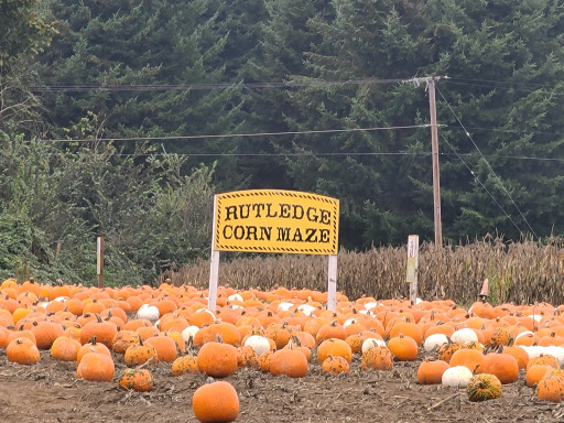 Pumpkin Patch «Rutledge Corn Maze LLC», reviews and photos, 302 93rd Ave SE, Olympia, WA 98501, USA