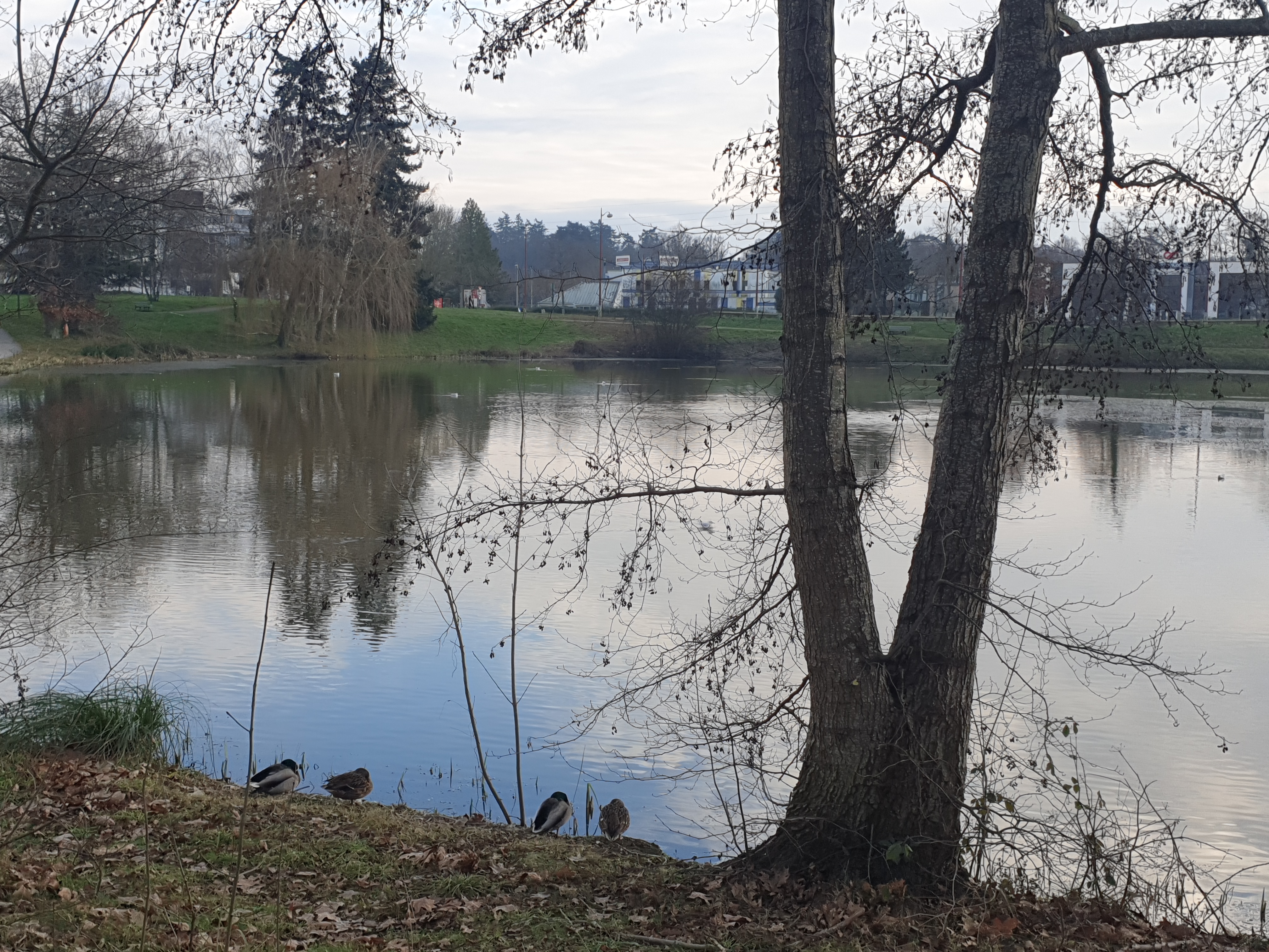 Photo n° 4 de l'avis de hervé.a fait le 25/01/2024 à 23:10
