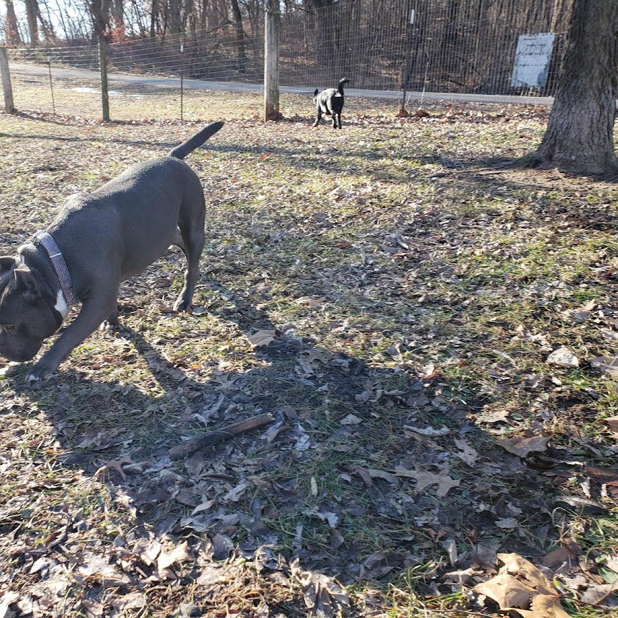 Geneseo Prairie Park