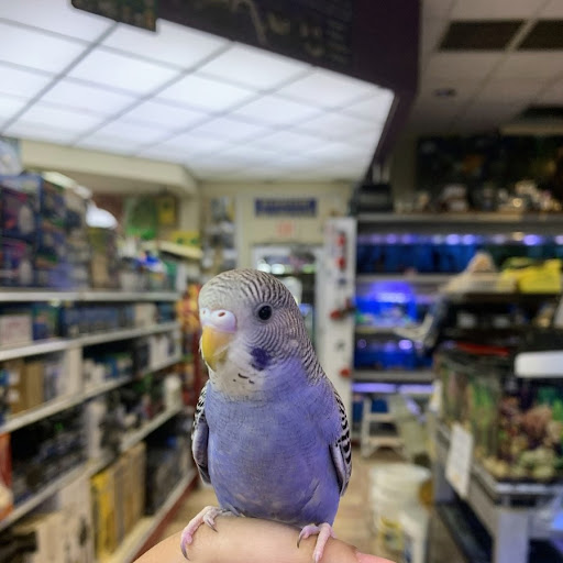 Pet Store «Fish-N-Pets Unlimited», reviews and photos, 11710 Bissonnet St, Houston, TX 77099, USA