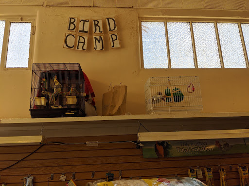 Pet Supply Store «The Animal Connection», reviews and photos, 2550 2550 Judah St & 31st Ave, San Francisco, CA 94122, USA