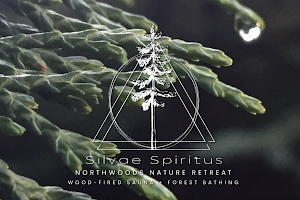 Silvae Spiritus Forest Bathing, Sauna, and Nature Retreats image