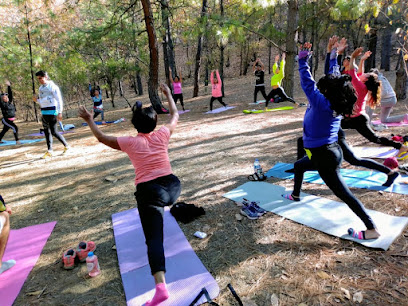 Studio.Midrash.Yoga.Dance