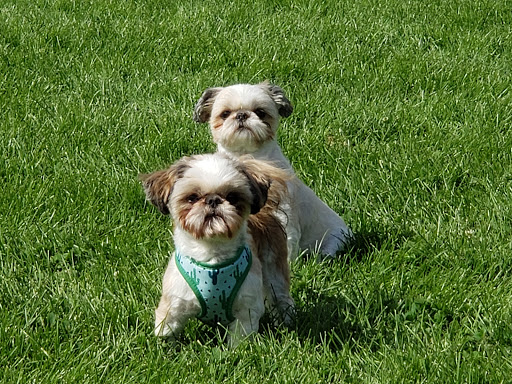 Pet Supply Store «PetSmart», reviews and photos, 255 Los Altos Pkwy, Spanish Springs, NV 89436, USA