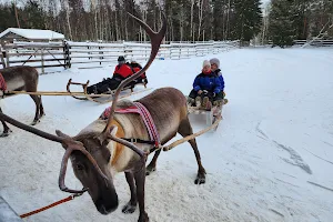 Konttaniemi Reindeer Farm image