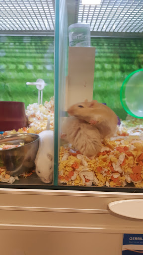 Pet Supply Store «PetSmart», reviews and photos, 11400 Financial Centre Pkwy, Little Rock, AR 72211, USA