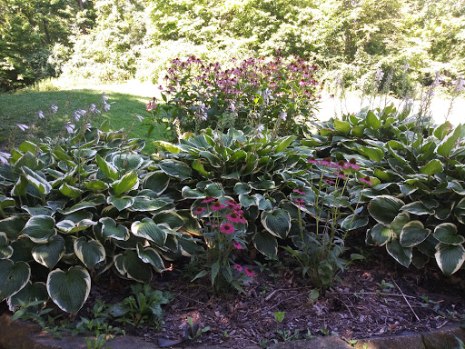 Public Golf Course «Beech Creek Golf Course», reviews and photos, 1831 Hudepohl Ln, Cincinnati, OH 45231, USA