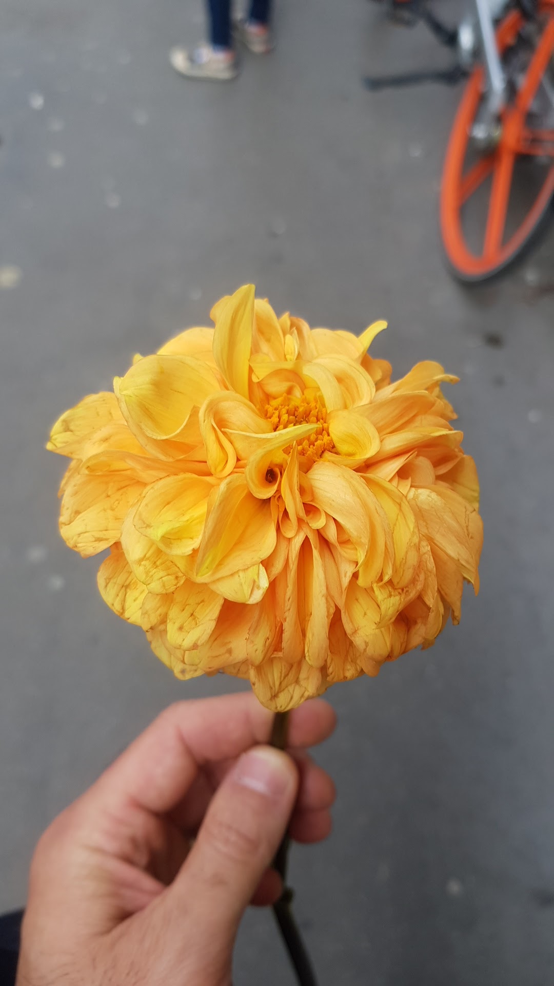 Photo n° 1 de l'avis de Jice. fait le 13/10/2019 à 12:24