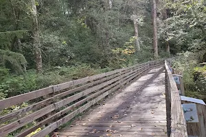 Fennel Creek Trail Head image