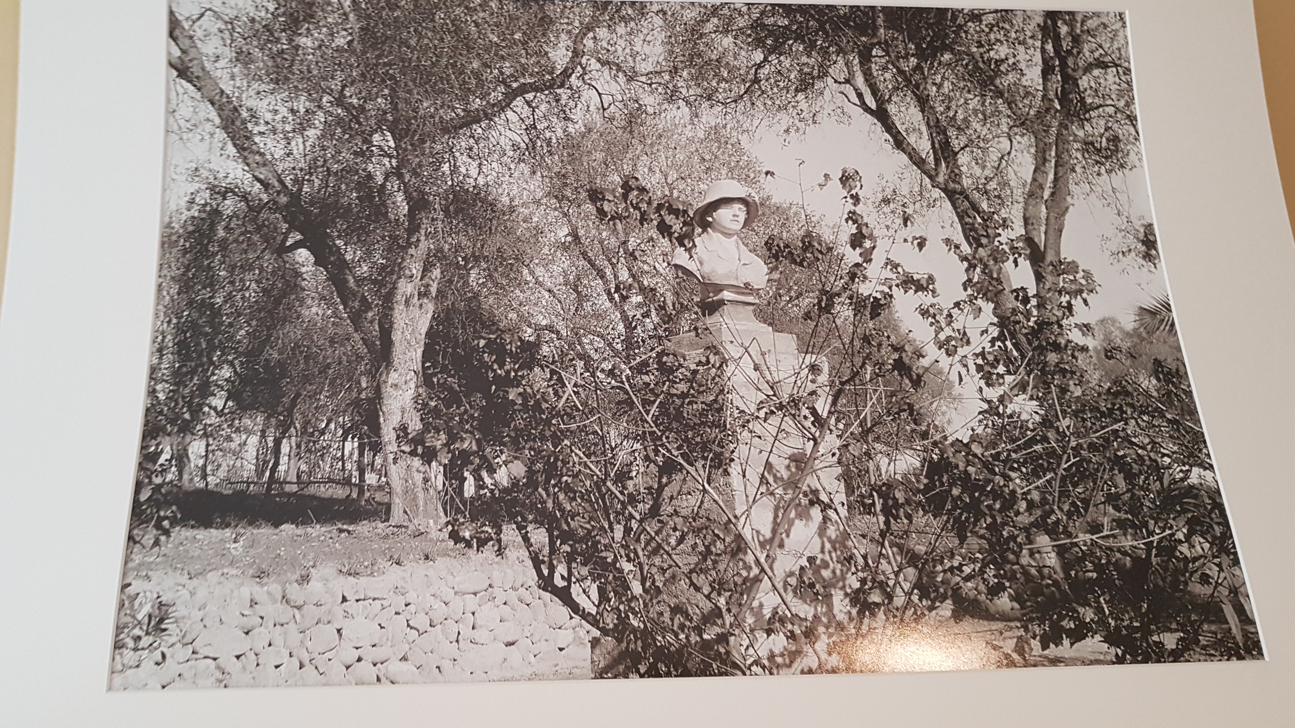 Photo n° 40 de l'avis de PESTRE.R fait le 20/08/2019 à 07:30