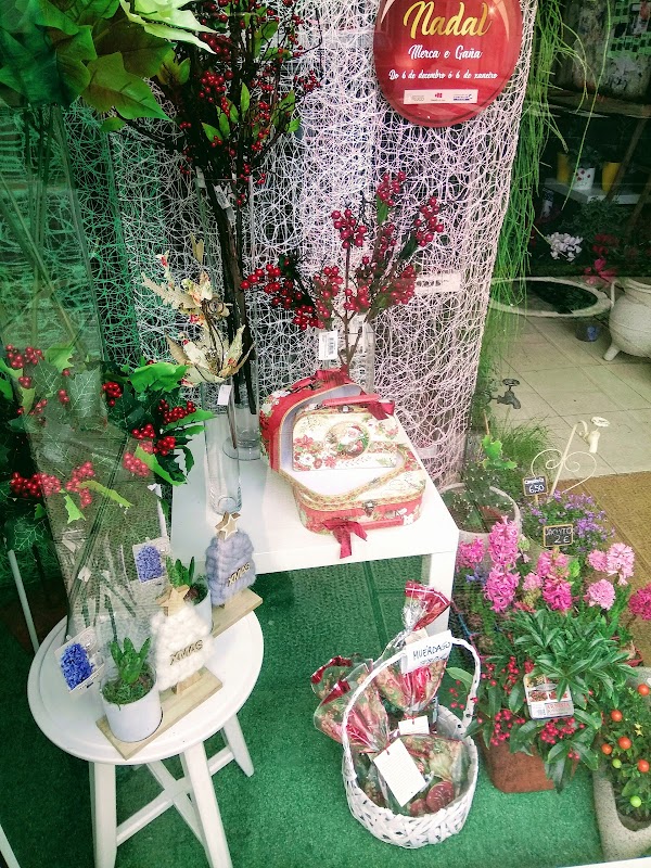 Floristería As Camelias