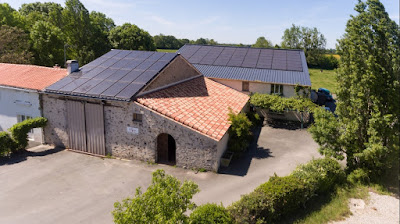 Vignoble de Rochanvigne à Vieillevigne