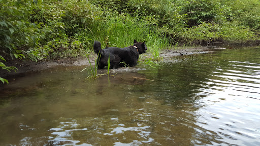 State Park «Goosepond Mountain State Park», reviews and photos, 1198 New York 17M, Chester, NY 10918, USA