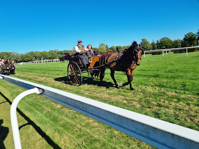 Hippodrome de la Bergerie à Ginai