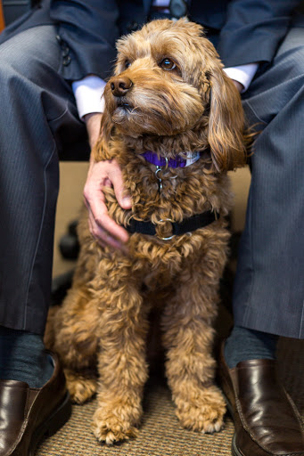 Jewelry Designer «Villarreal Fine Jewelers - Designers of Exquisite Jewelry», reviews and photos, 7600 Burnet Rd #520, Austin, TX 78757, USA