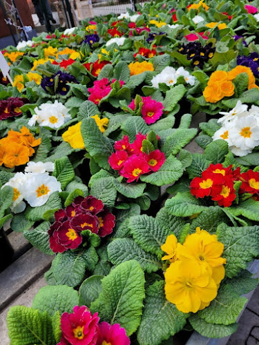 Parafialna 28/30, 52-233 Wrocław