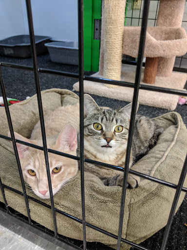 Pet Supply Store «Pet Supplies Plus», reviews and photos, 702 W Northland Ave, Appleton, WI 54914, USA