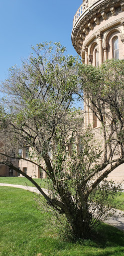 Observatory «Yerkes Observatory», reviews and photos, 373 W Geneva St, Williams Bay, WI 53191, USA