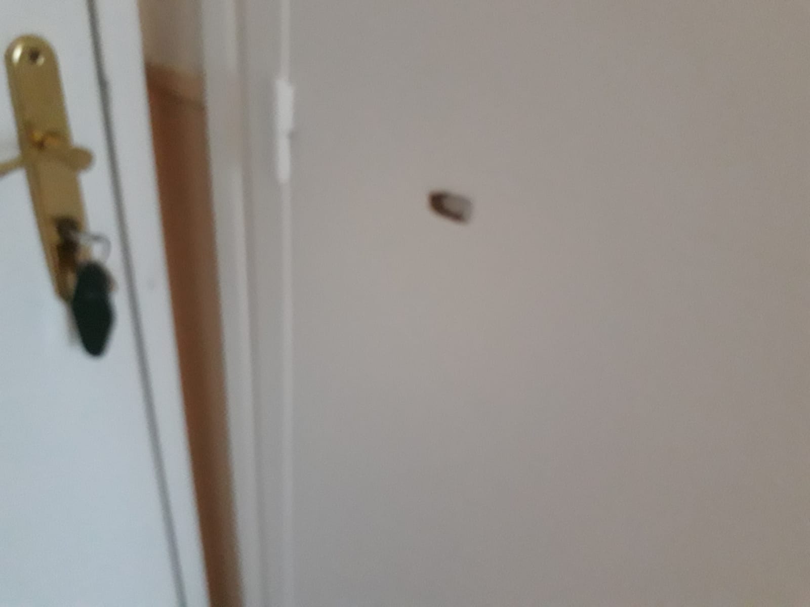 Photo n° 2 de l'avis de nadou.u fait le 11/09/2021 à 09:55