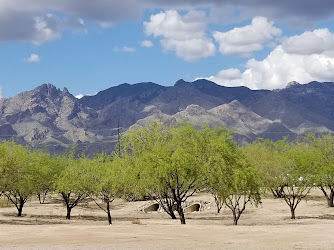 Brandi Fenton Memorial Park