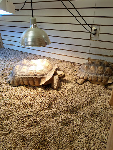 Pet Supply Store «Pet Care Depot», reviews and photos, 1598 NY-112, Medford, NY 11763, USA