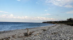 Photo de Fonia beach zone sauvage