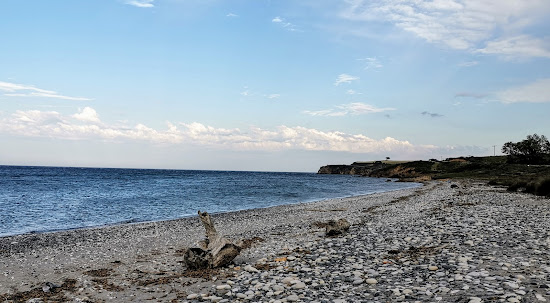 Fonia beach