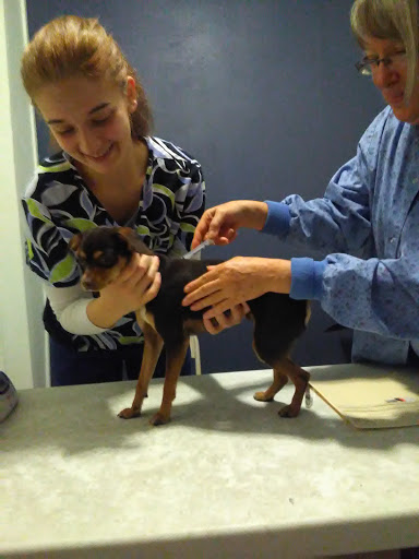 Pet Store «Next to Nature», reviews and photos, 1624 Tacoma Ave S, Tacoma, WA 98402, USA