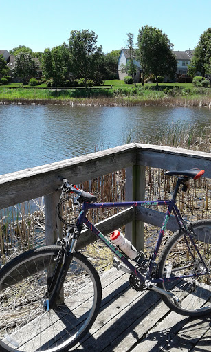 Park «Springfield Park», reviews and photos, 269 Springfield Dr, Bloomingdale, IL 60108, USA