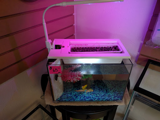 Tropical Fish Store «Aquaria Masters», reviews and photos, 411 Tia Juana St, Colorado Springs, CO 80909, USA