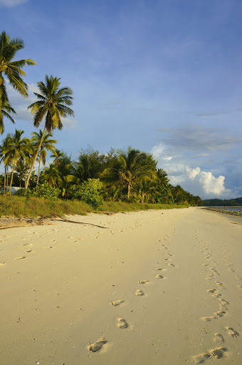 Travel Agency «SkyPath Travel», reviews and photos, 4221 NW 126th Ave, Portland, OR 97229, USA