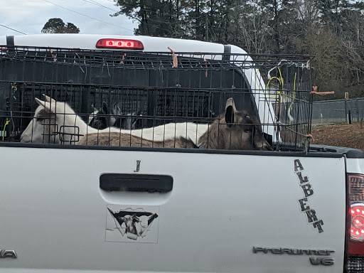 Discount Store «Dollar General», reviews and photos, 23890 LA-22, Maurepas, LA 70449, USA