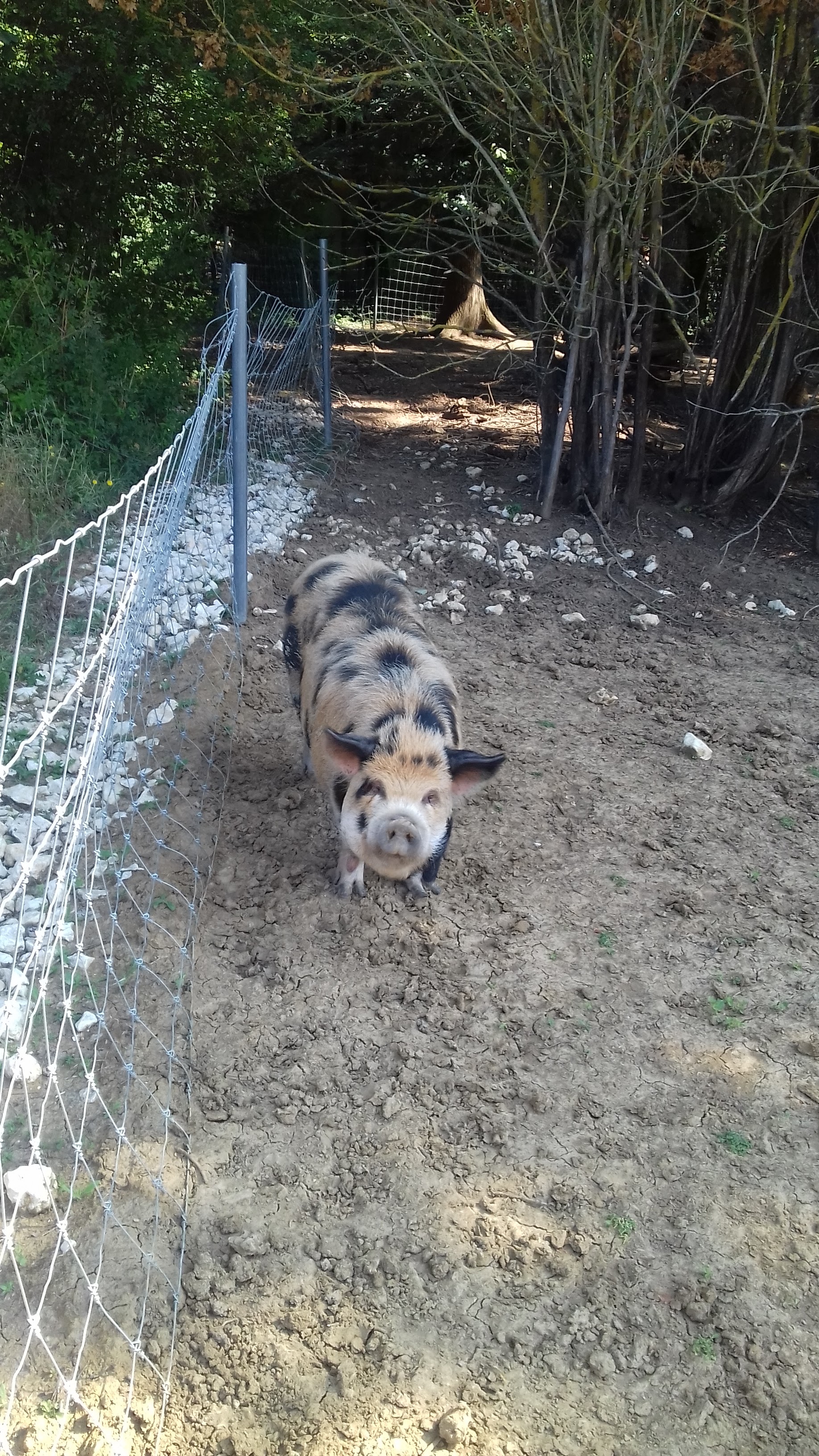 Photo n° 39 de l'avis de Laurent.o fait le 20/08/2018 à 10:25