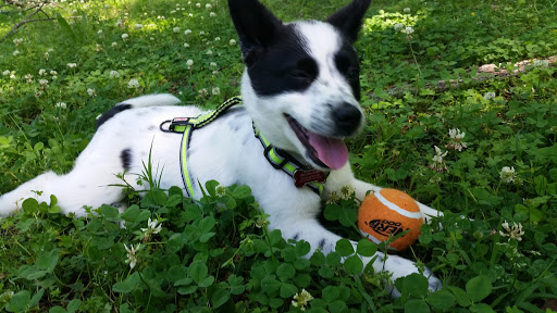 Park «Allsopp Park», reviews and photos, 3700 Cedar Hill Rd, Little Rock, AR 72202, USA