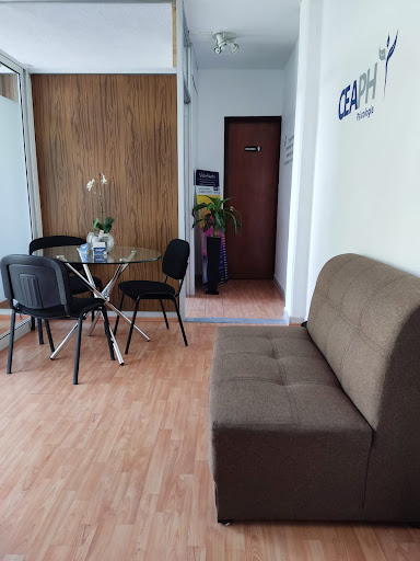 Centro de Capacitación y Atención Psicológica Humanista: CEAPH.