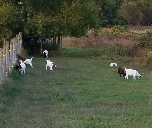 Golf Course «Wetlands Golf Course», reviews and photos, 740 Gilbert Rd, Aberdeen, MD 21001, USA