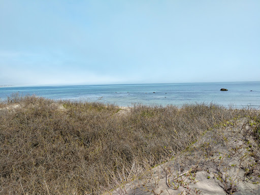 Grocery Store «Block Island Grocery», reviews and photos, 242 Ocean Ave, New Shoreham, RI 02807, USA