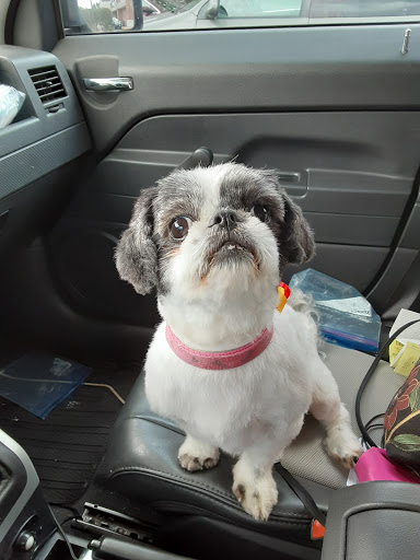 Pet Supply Store «Petco Animal Supplies», reviews and photos, 848 N Colony Rd c, Wallingford, CT 06492, USA